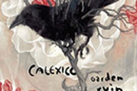 Garden Ruin – Calexico