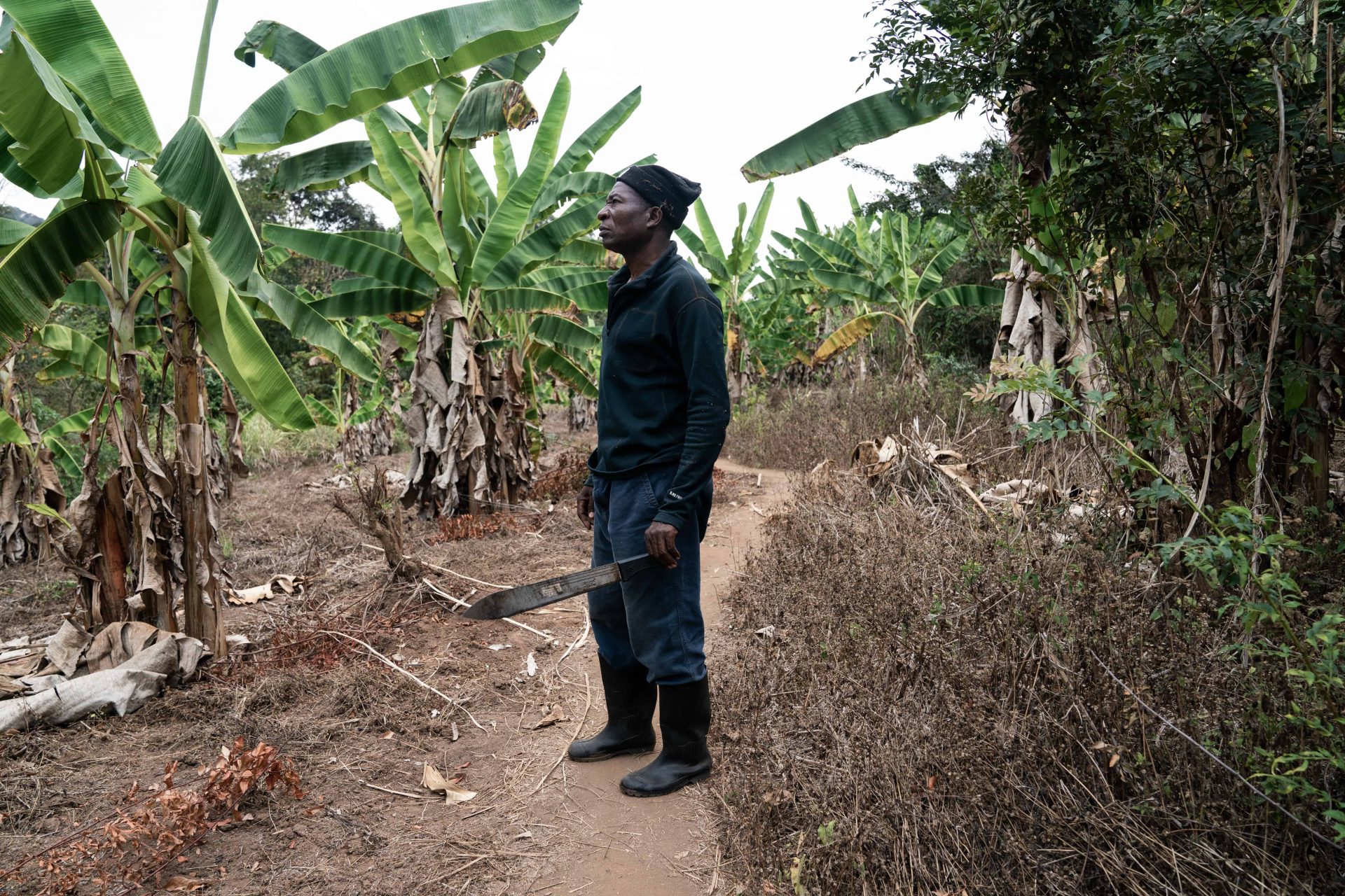 Il progetto di riforestazione Udzungwa corridor limited in Tanzania