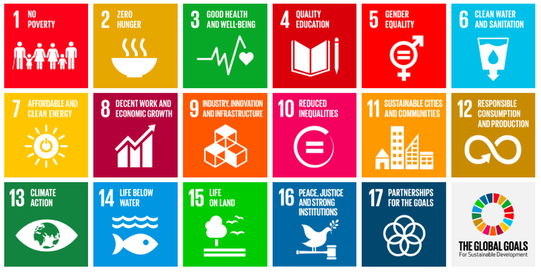 I 17 Obiettivi di sviluppo sostenibile dell'Agenda 2030. Fonte Onu