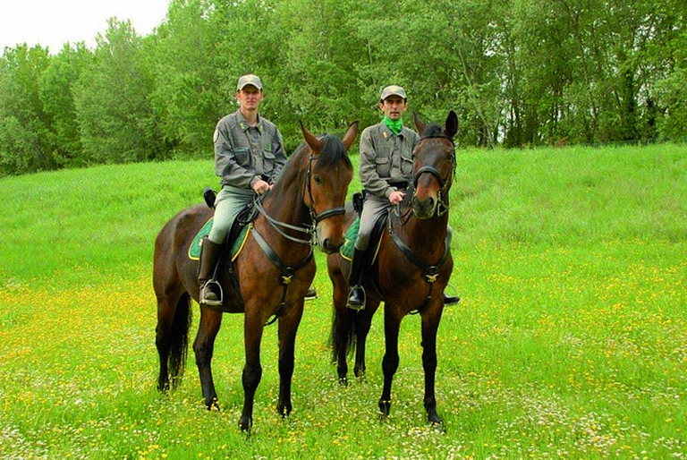 forestale-a-cavallo