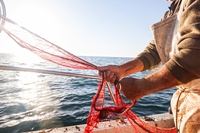 Cos’è il Fish dependence day e perché a luglio abbiamo già “esaurito” il pesce del Mediterraneo