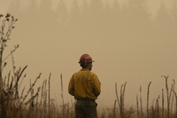 In Alaska più di 500 incendi boschivi da aprile