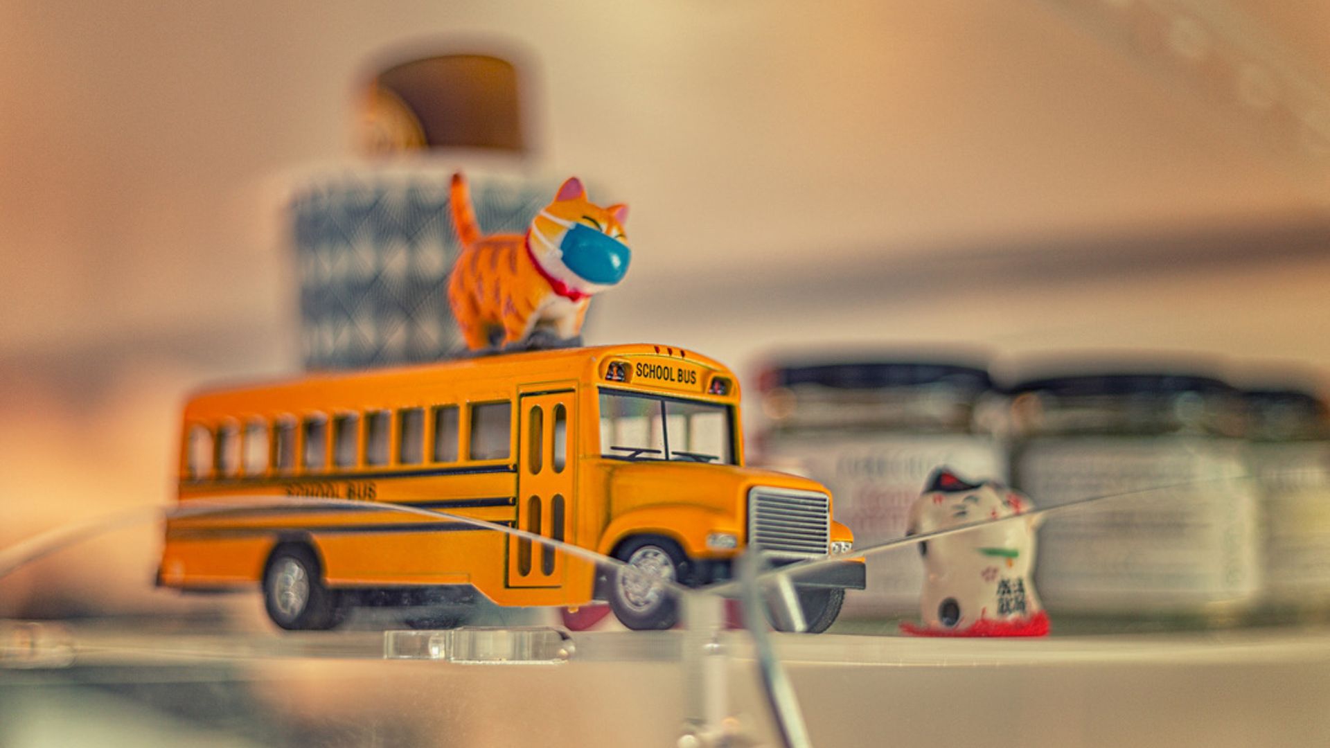 Skool beans bus toy