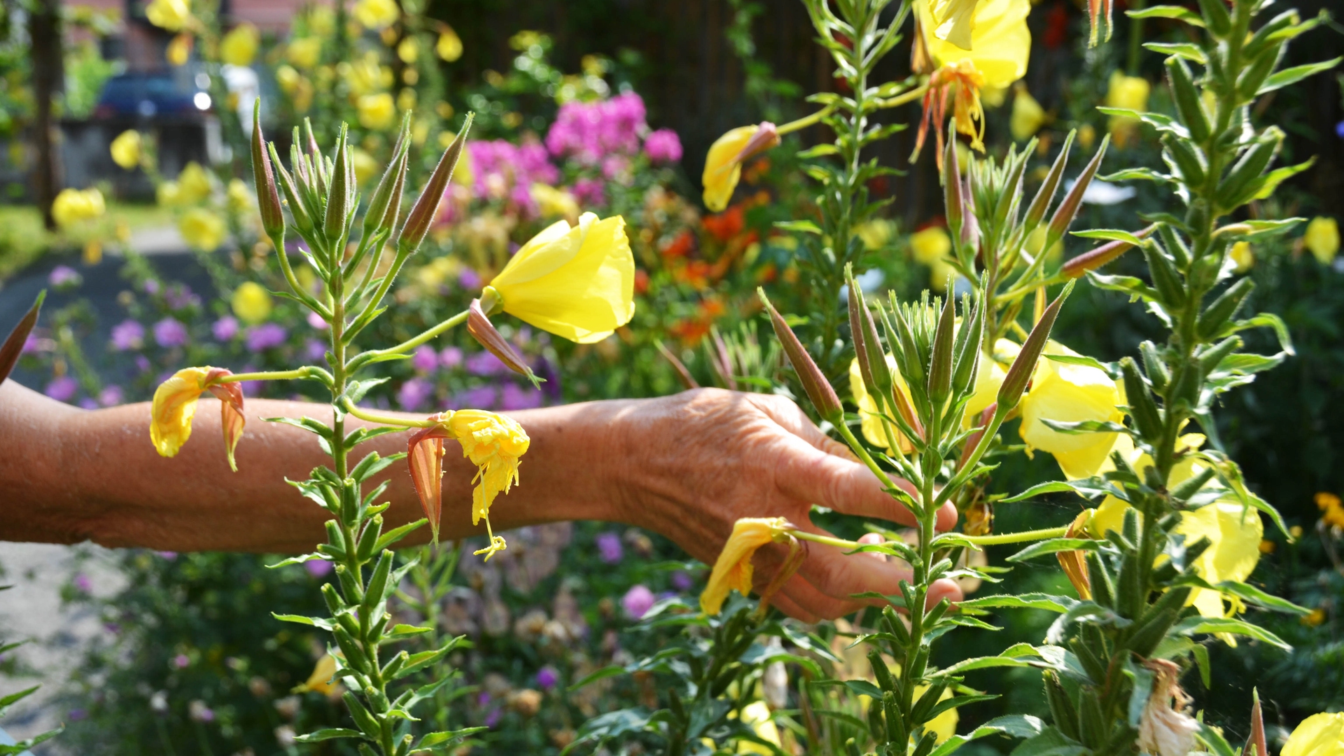 mereth bissegger casa merogusto