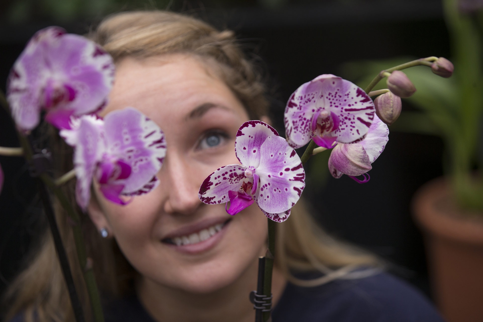 Le foto delle orchidee ai Royal Botanic Gardens di Kew