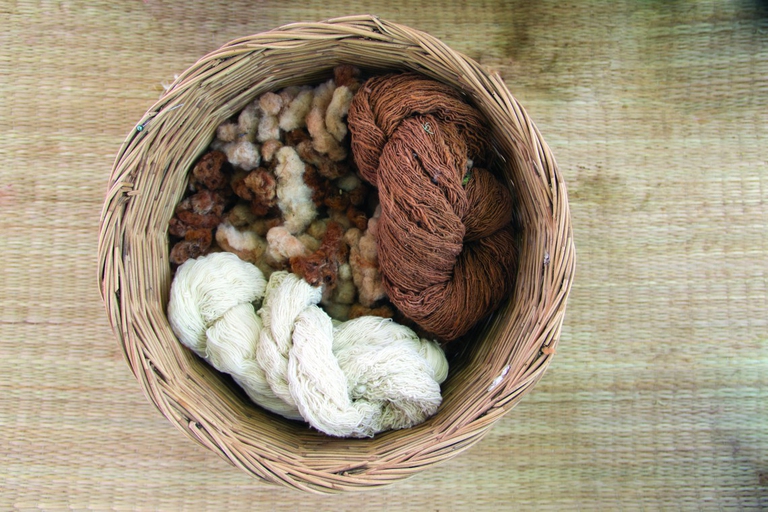 coex materiali organici