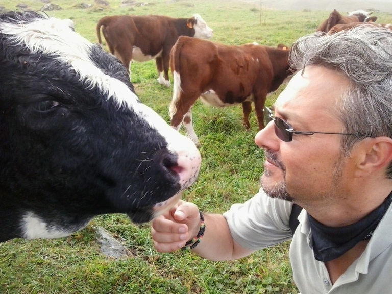 animali e coronavirus