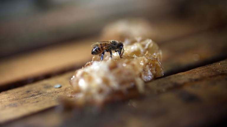 luce artificiale api