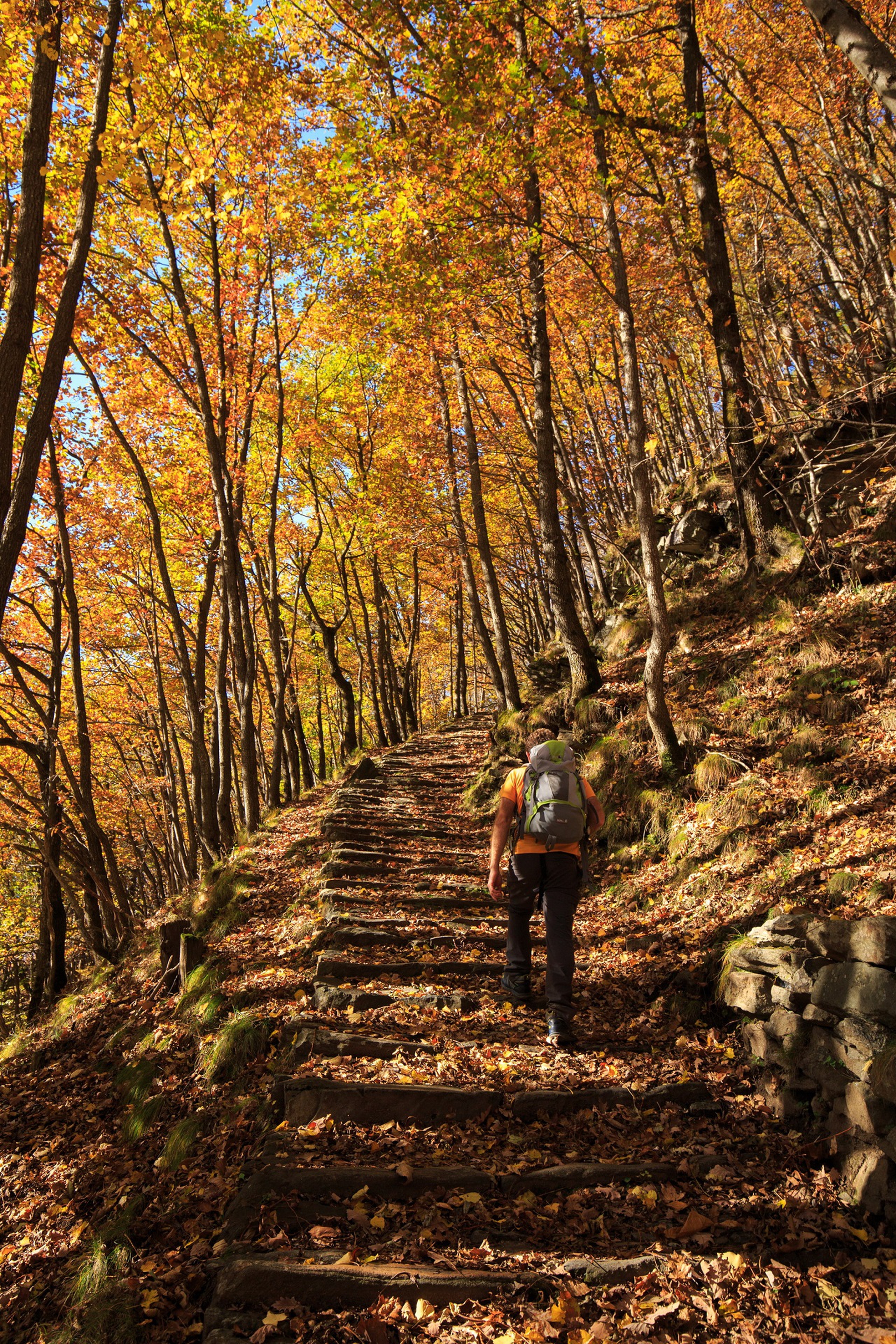 Valchiavenna val Bregaglia