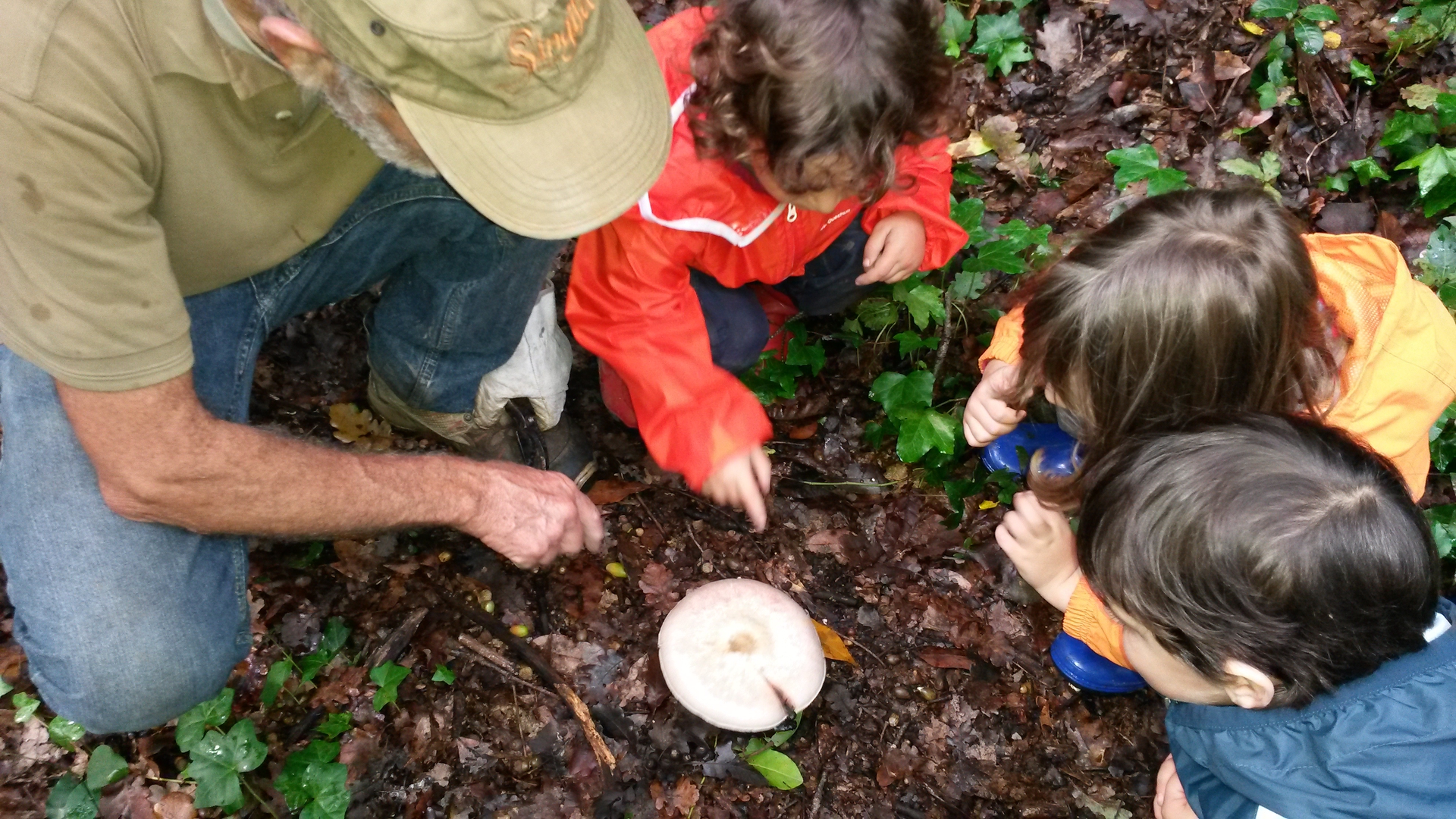 Asilo nel Bosco di Lanuvio - I bambini scoprono la natura da vicino