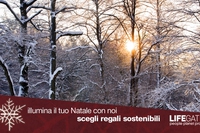 Accendi l’atmosfera natalizia con i regali di LifeGate