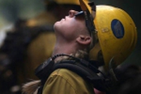 Cosa resta dopo il Rim fire