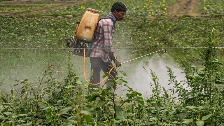 avvelenamento da pesticidi