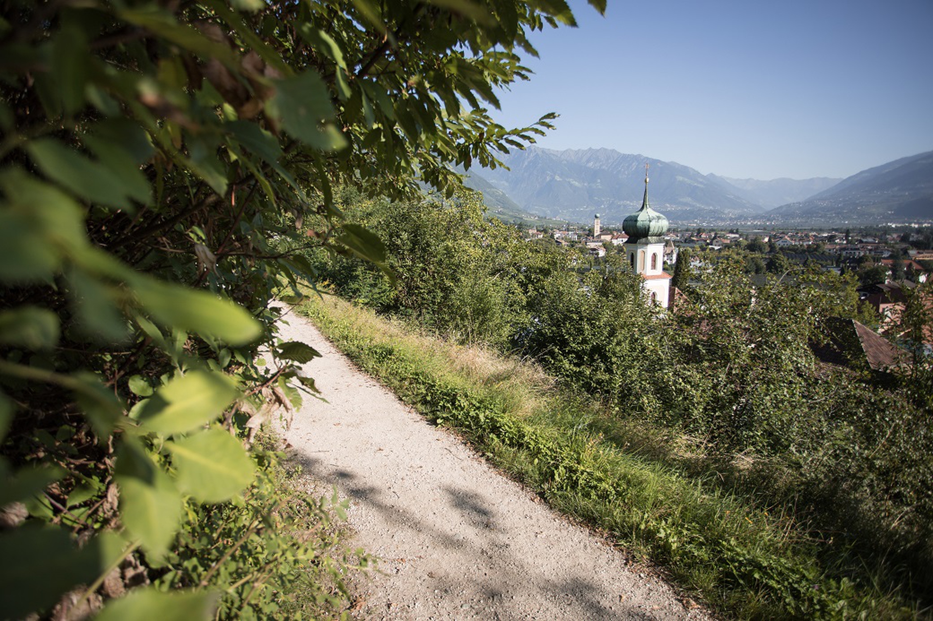 Per incentivare l'utilizzo della bici, il Governo ha anche previsto dei bonus per acquistarne