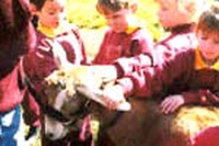 A scuola si impara a dialogare con gli animali