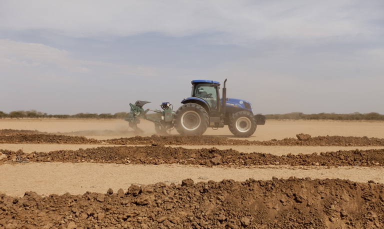 Recupero delle terre aride, Fao