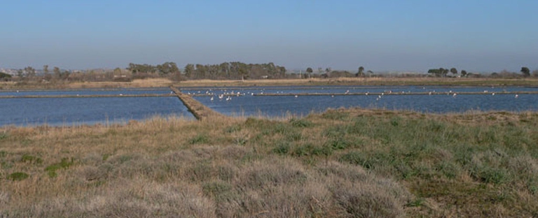 Foto www.parchilazio.it