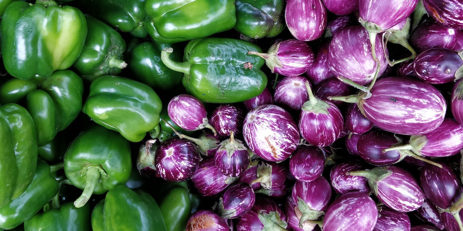 Veganism in India, how the dairyloving country is embracing a plant