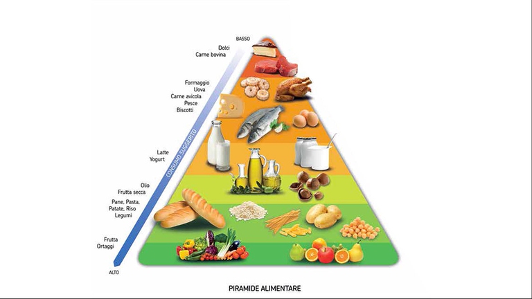 Le indicazioni dei nutrizionisti americani furono raccolte dal dipartimento statunitense dell'Agricoltura (Usda ) nel 1991, che voleva riassumere i dettami della dieta mediterranea con un modello grafico semplice, chiaro e comprensibile. Il simbolo scelto è stato quello di una piramide, la cui base, più larga, contiene i cibi da mangiare di più, e via via salendo – dato che si restringe – quelli di cui ridurre l’uso. Così è nata la prima piramide alimentare raffigurante la distribuzione degli alimenti nell'arco della settimana, indicandone la frequenza e le dosi consigliate.