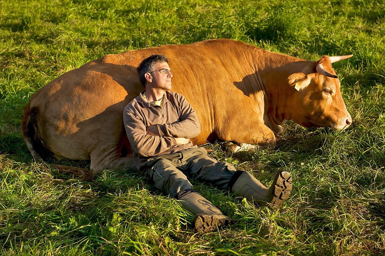(Photo by JOKER / Gudrun Petersen/ullstein bild via Getty Images)