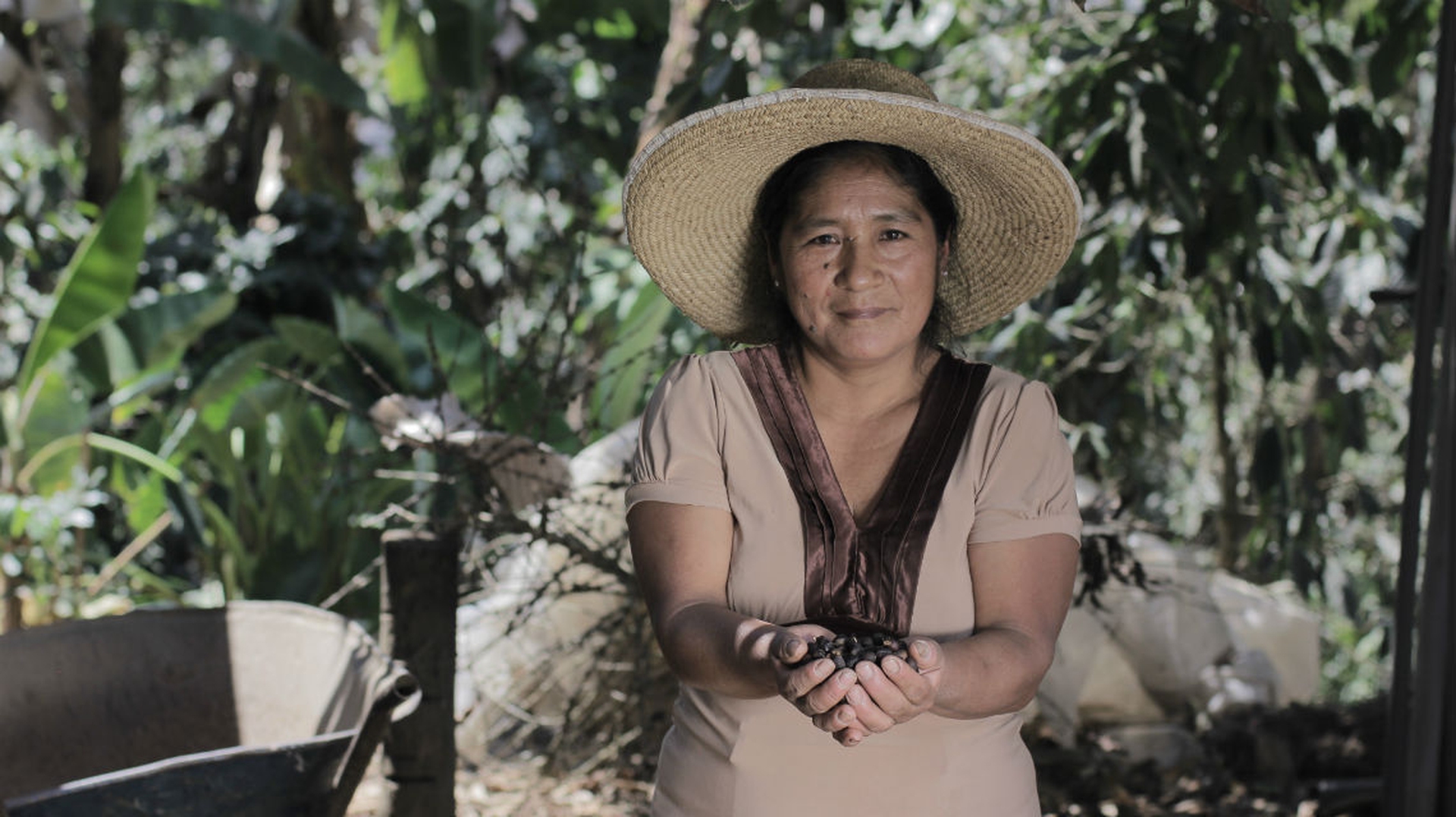 Il riscatto dei contadini peruviani passa dallo zucchero di canna biologico e Fairtrade