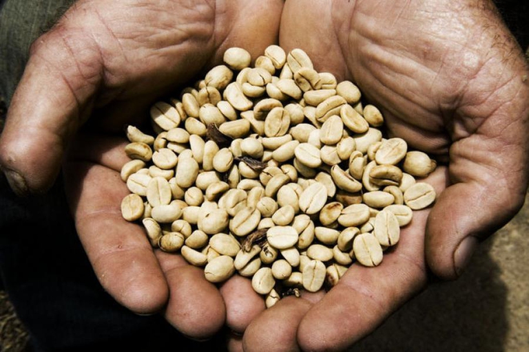 kaffee-DW-Wirtschaft-Berlin