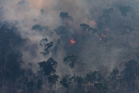 A giugno il Brasile ha superato il record di incendi che resisteva dal 2007