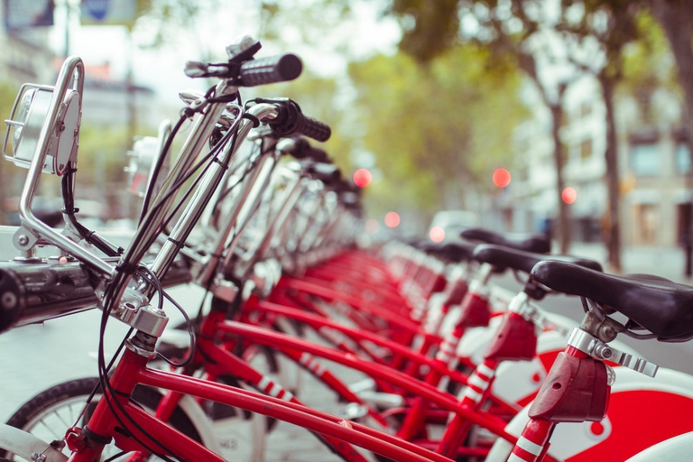 ridurre lo smog bike sharing