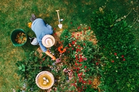 Garden therapy: cos’è e quali benefici genera