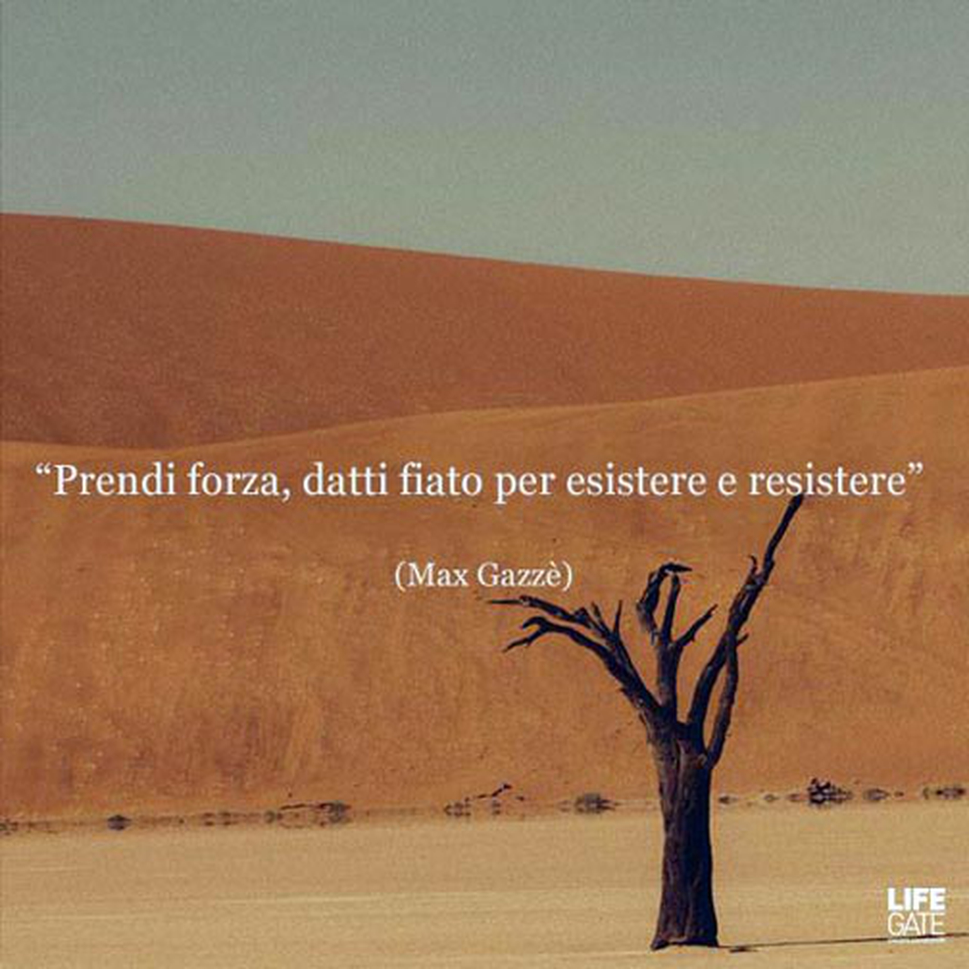 Le citazioni più belle per sempre - Max Gazzè