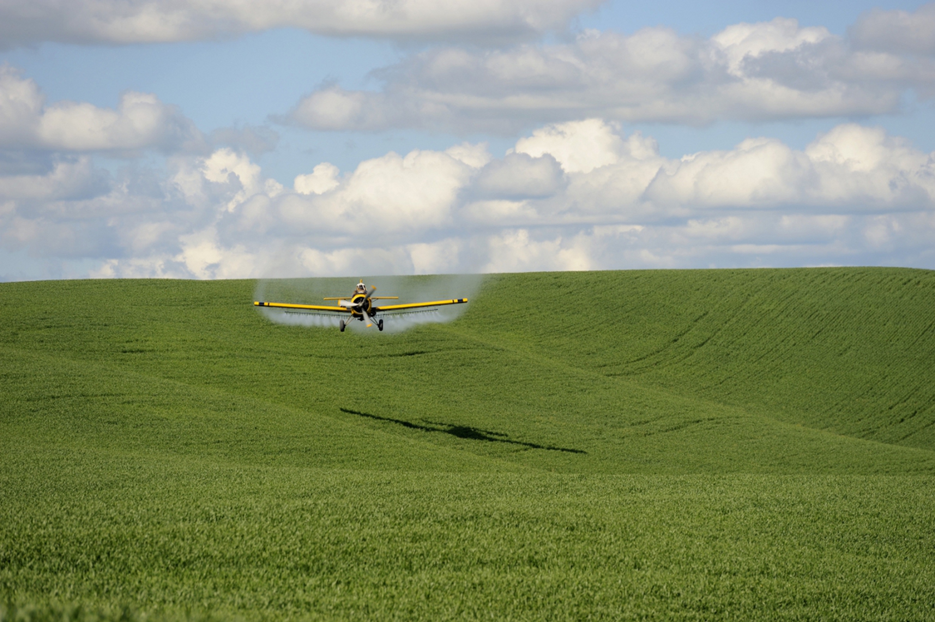 Pesticides on wheat © Wolfgang Kaehler/Corbis