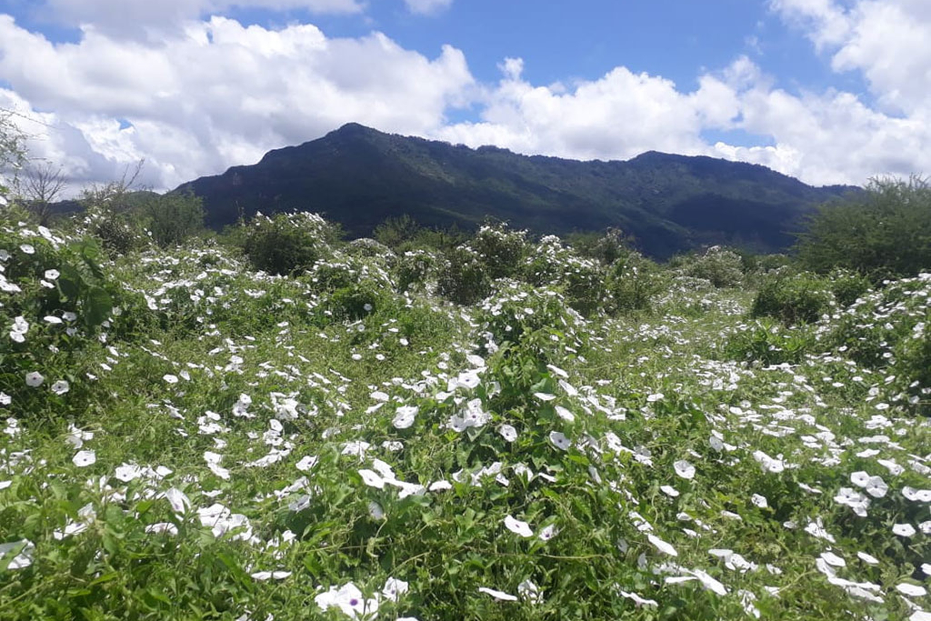Images of rural Kenya