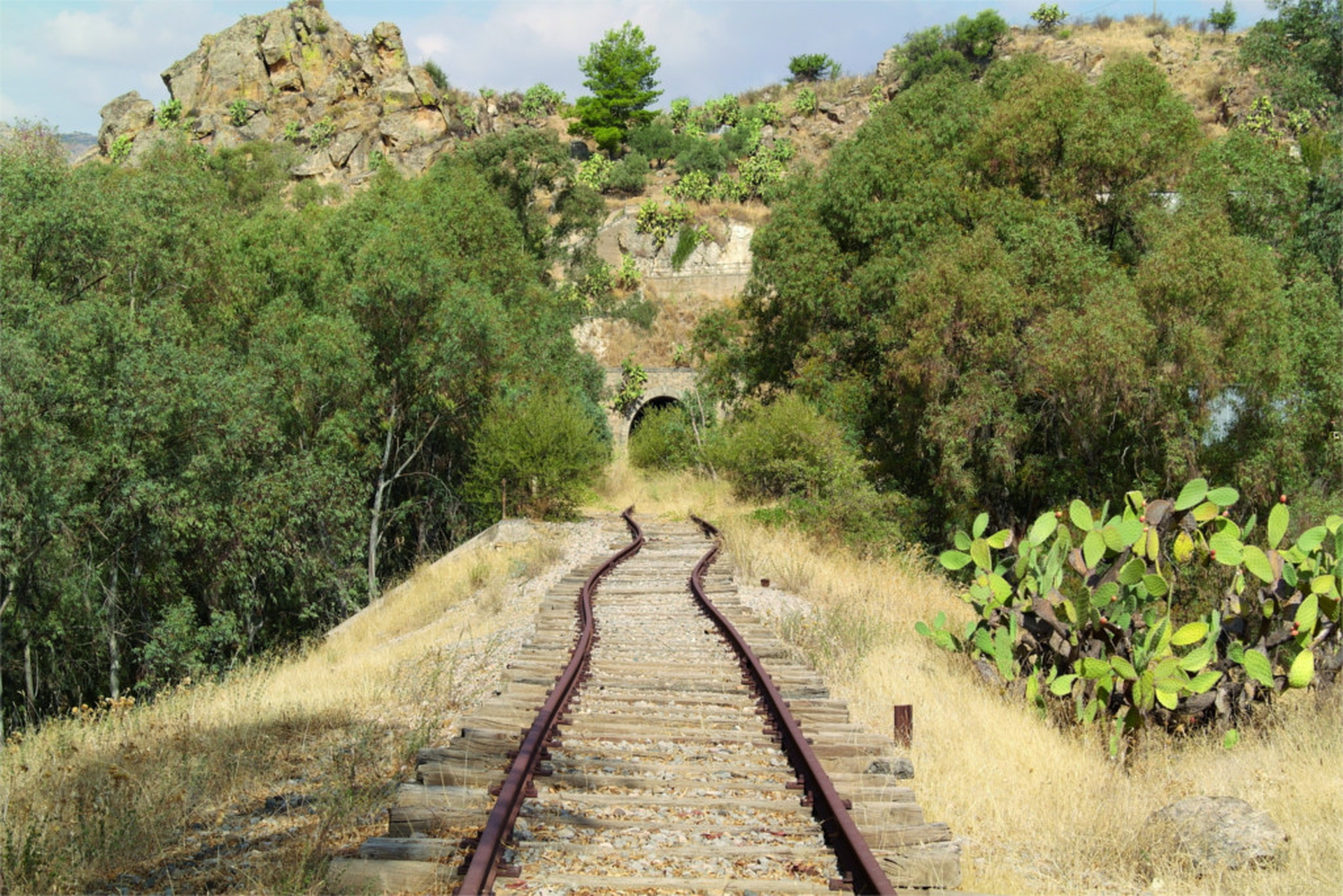 Linea Motta Santa Anastasia- Regalbuto