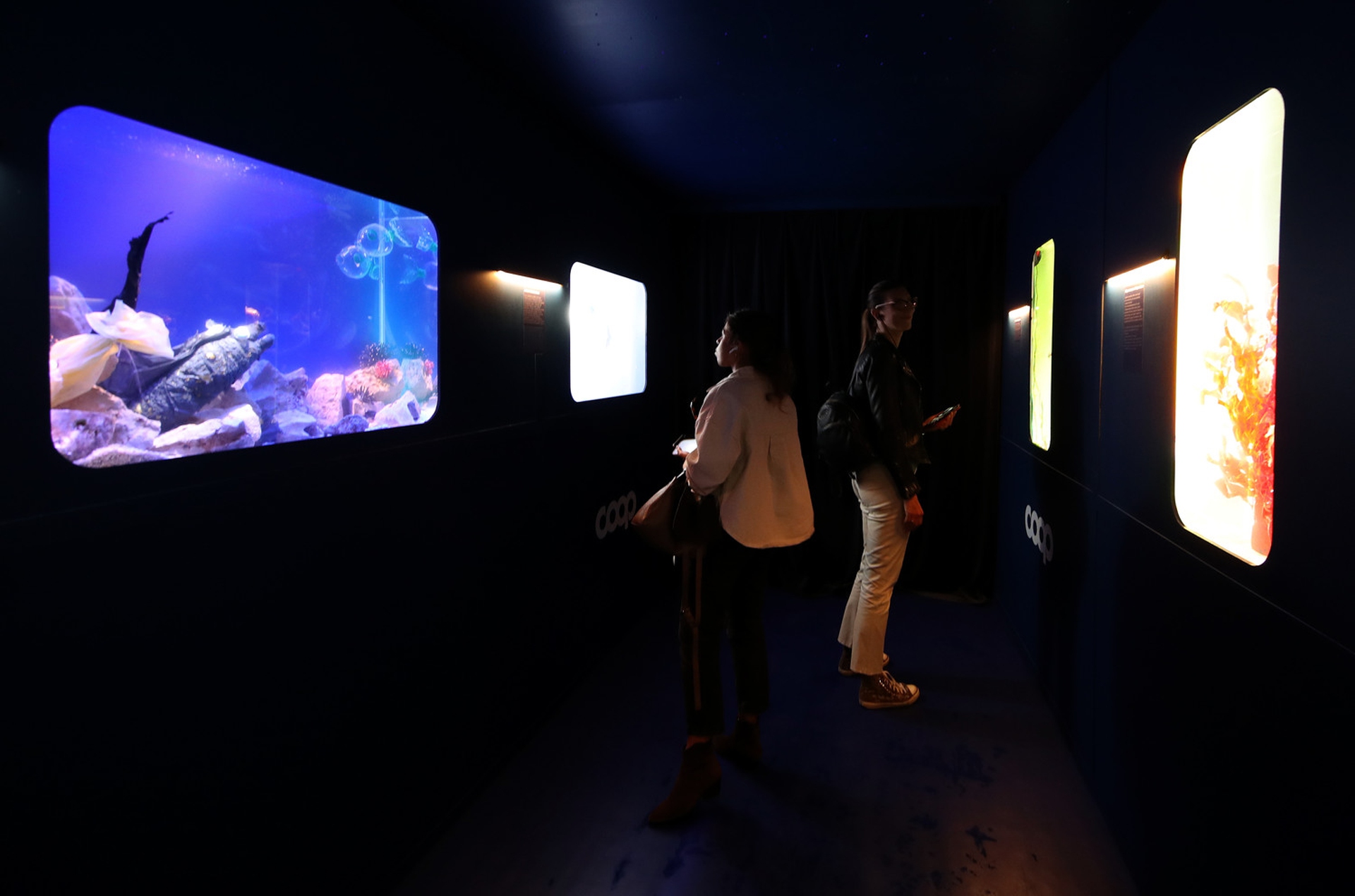 installazione di Coop a Trieste