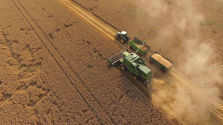 agricoltura cambiamenti climatici