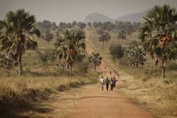 Come un ospedale nel remoto Uganda del nord può diventare sostenibile