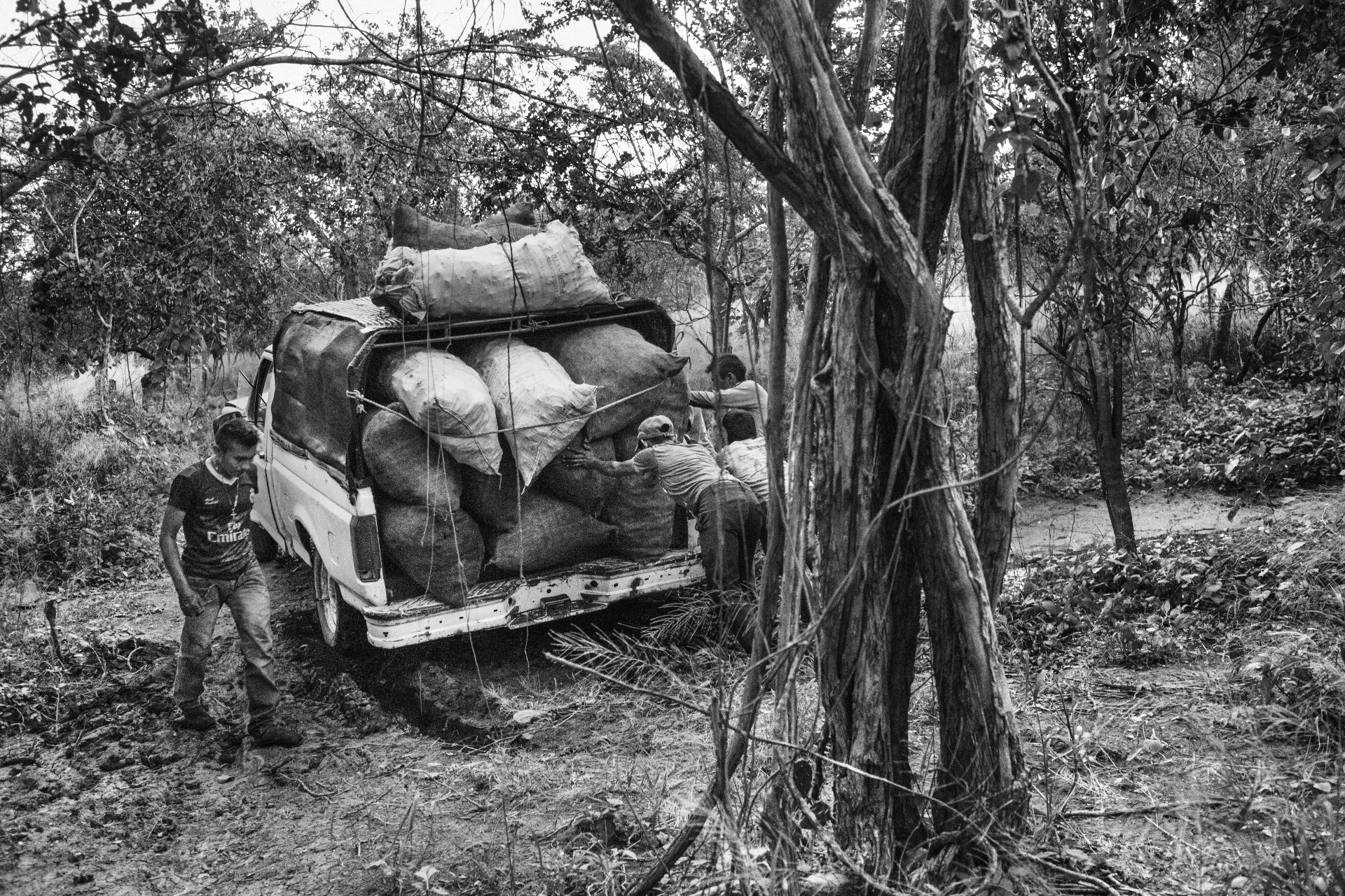 forgotteninthedust_visa015