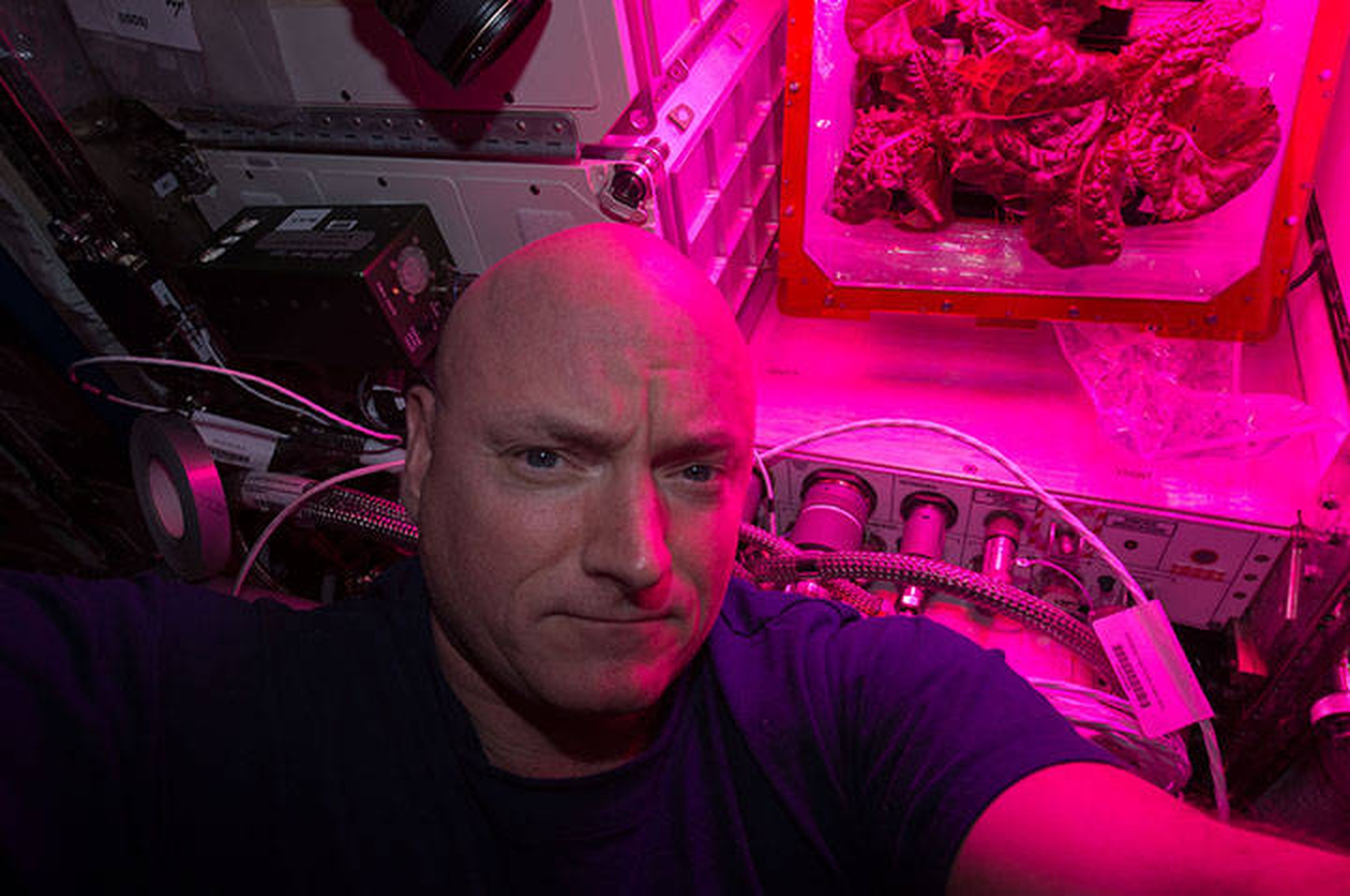 Scott Kelly