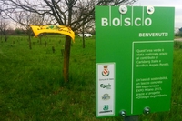 A Desio Carlsberg pianta più di mille alberi. Un polmone per la città