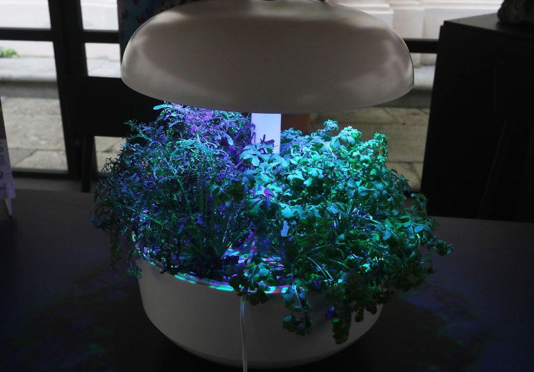 agricoltura del futuro