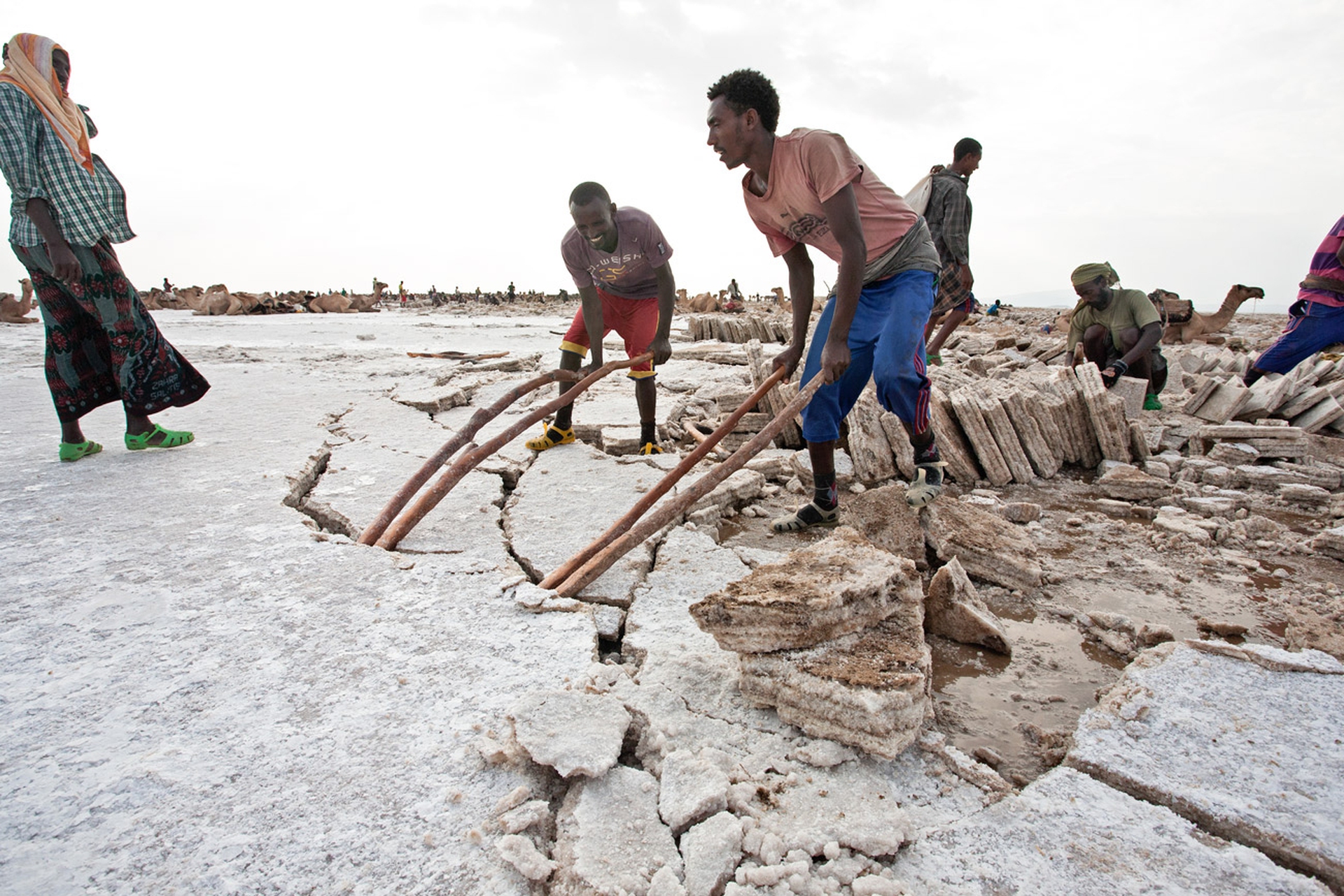 Carovana errante, lavori