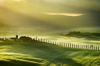 Toscana leader della green economy italiana, quasi 4mila assunzioni in un anno