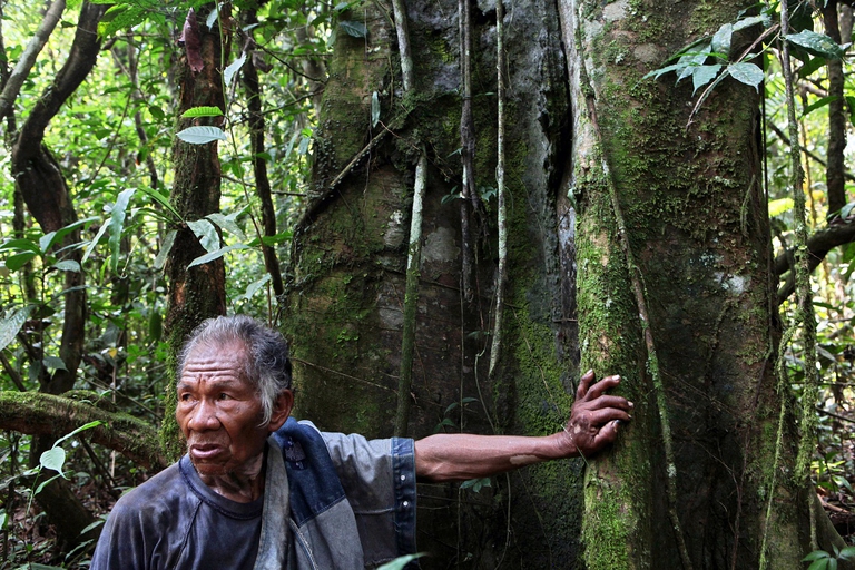 Rappresentante popolazione indigena Brasile
