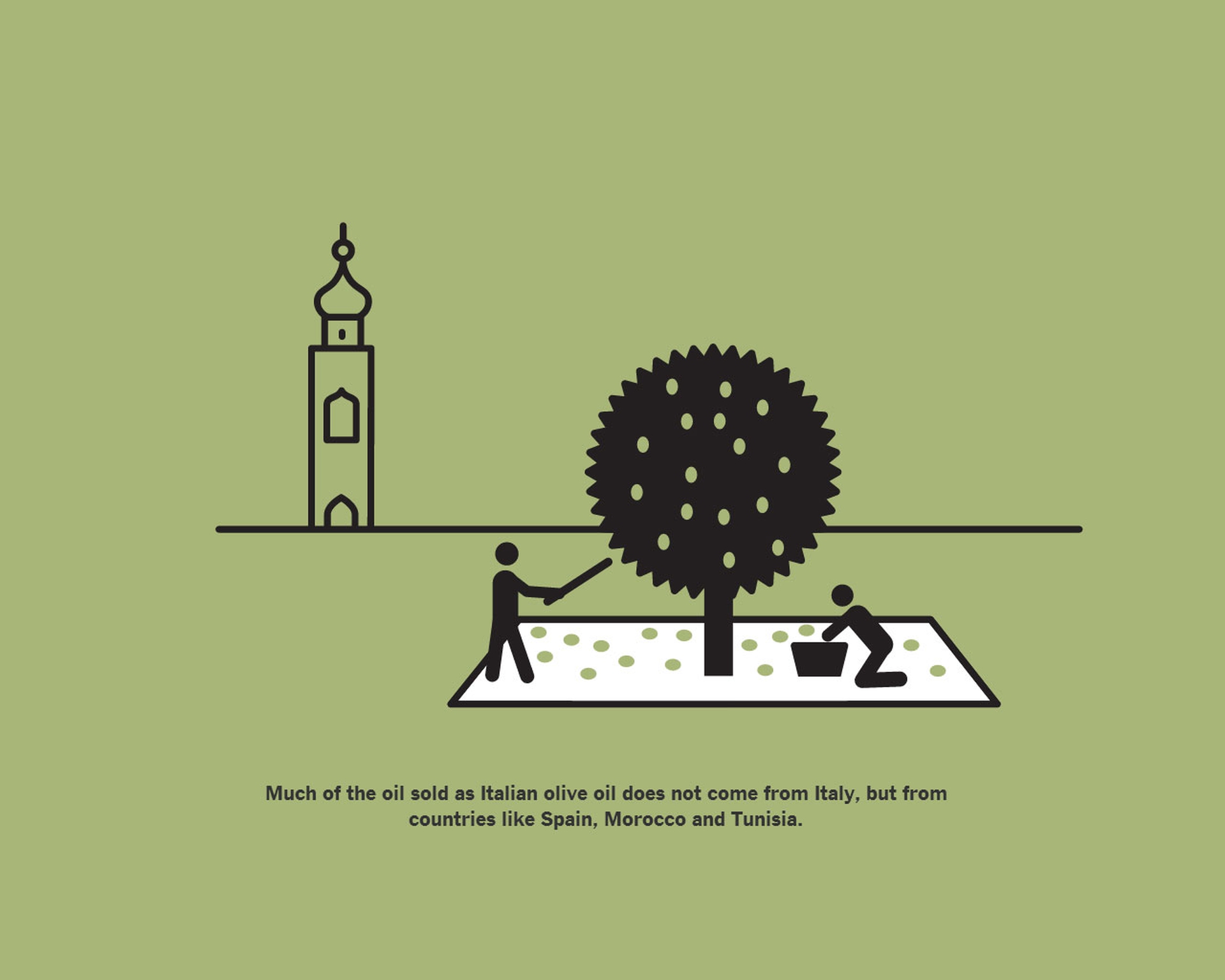 La storia dell'olio extravergine di oliva sul New York Times