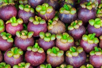 Mangostano, proprietà e benefici del suo prezioso frutto
