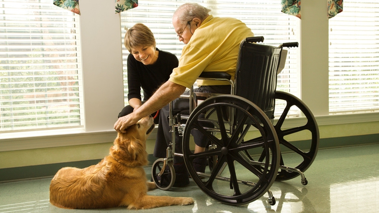 La pet therapy aiuta gli anziani a vivere meglio. @IngImage
