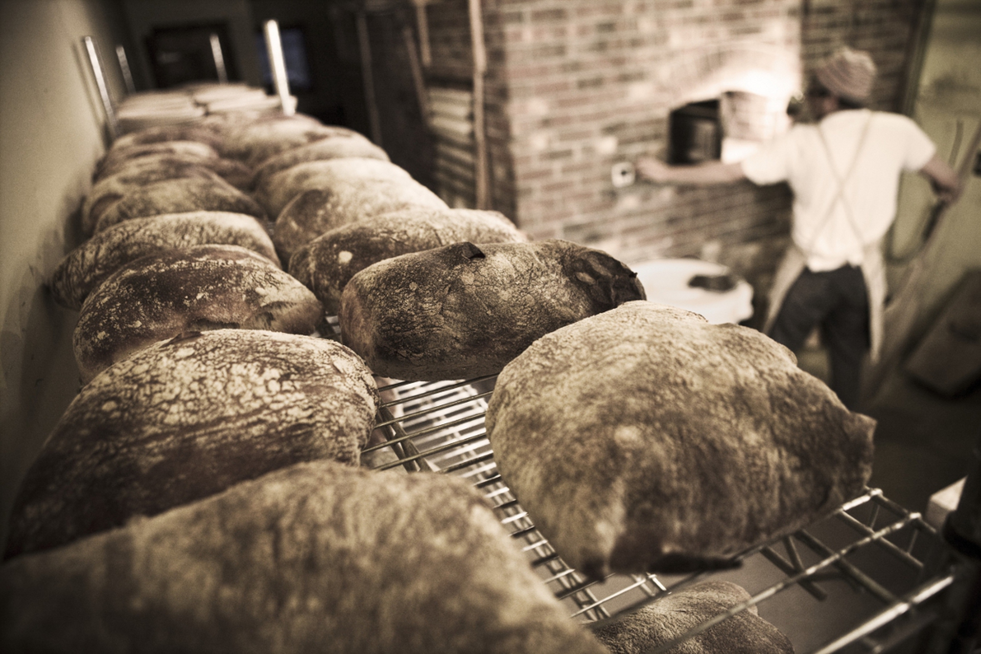Pane fatto di lievito madre