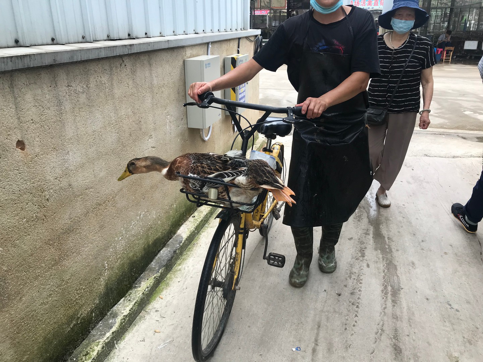 Un’immagine dai wet market in Cina