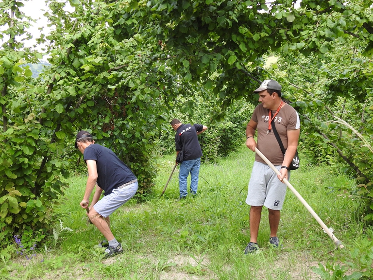 agricoltura biologica