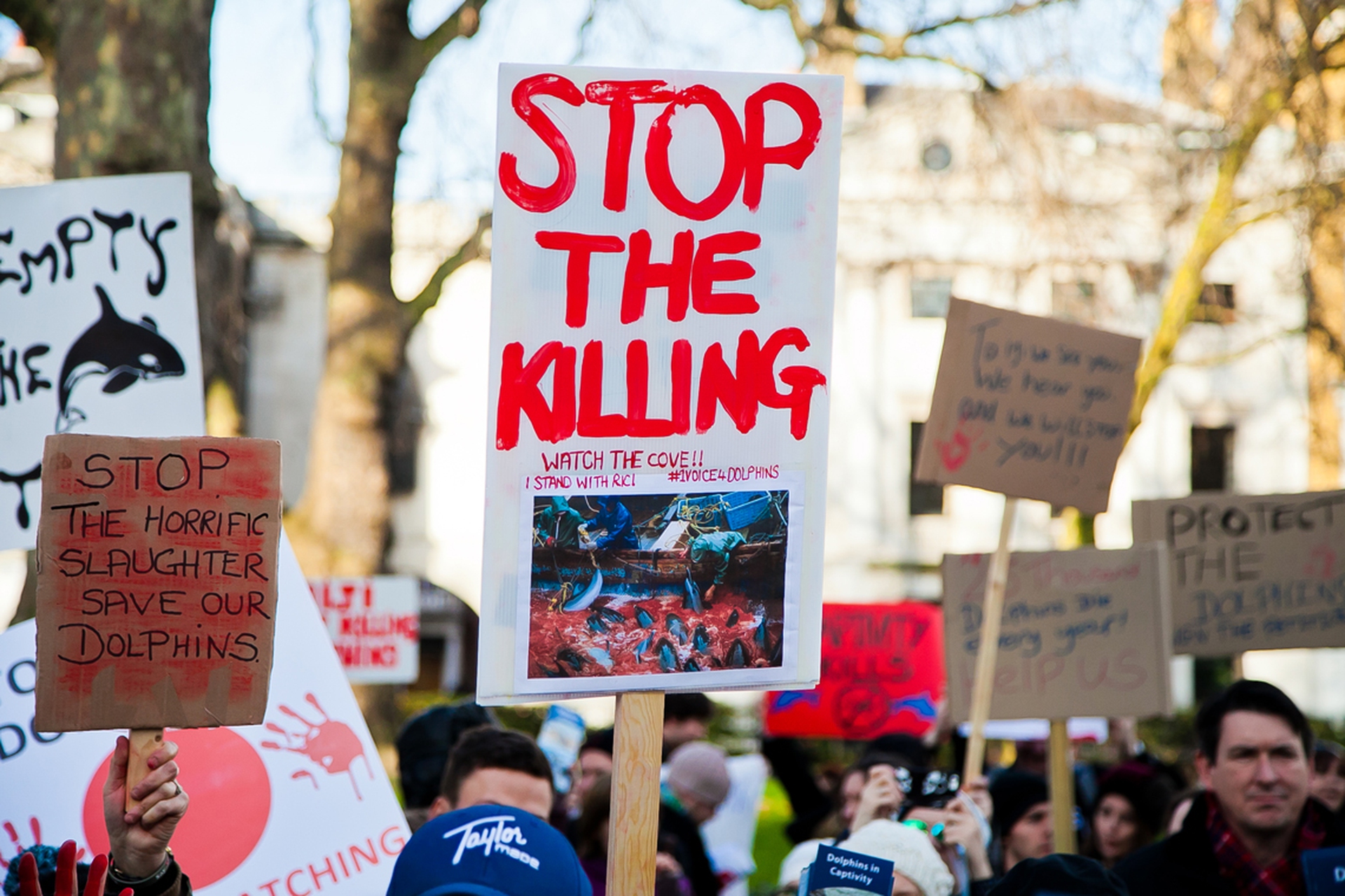 Animal-rights activists